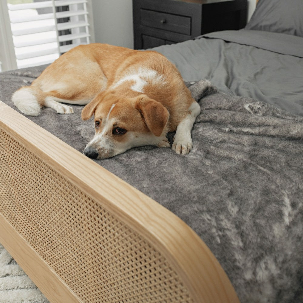 PupProtector™ Luxe Waterproof Bed Runner - Ultra Soft Chinchilla | Plow & Hearth