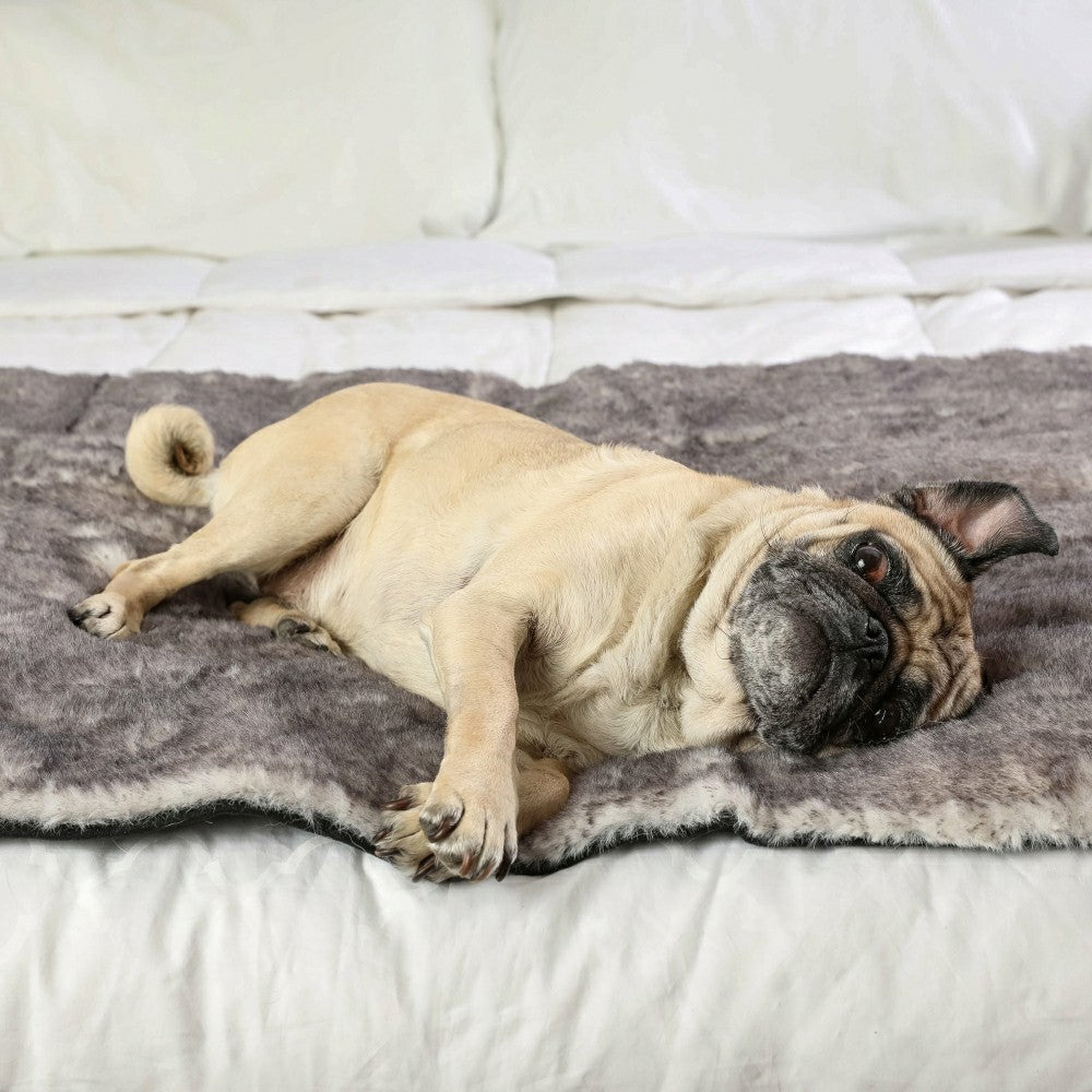 PupProtector™ Luxe Waterproof Bed Runner - Ultra Soft Chinchilla | Plow & Hearth