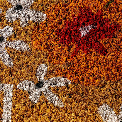 Spring Welcome Coir Doormat | Plow & Hearth