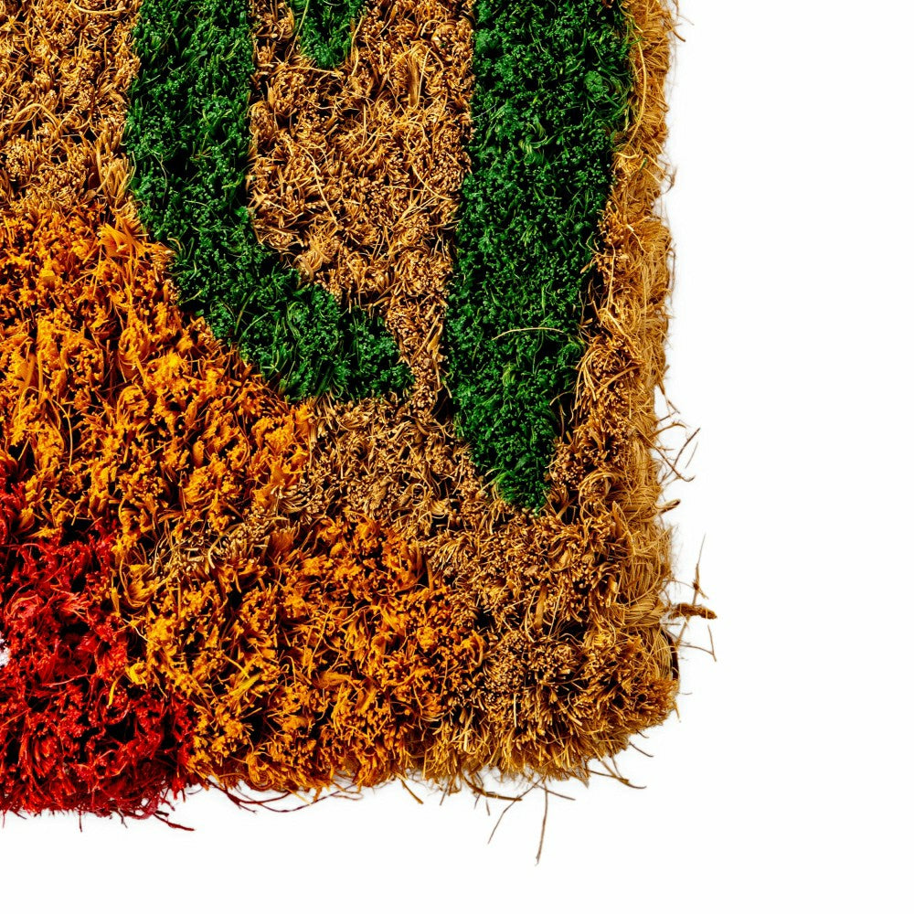 Spring Welcome Coir Doormat | Plow & Hearth