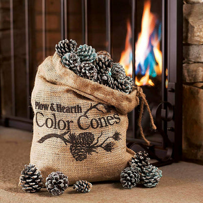 Fireplace Color Cone Refill | Plow & Hearth