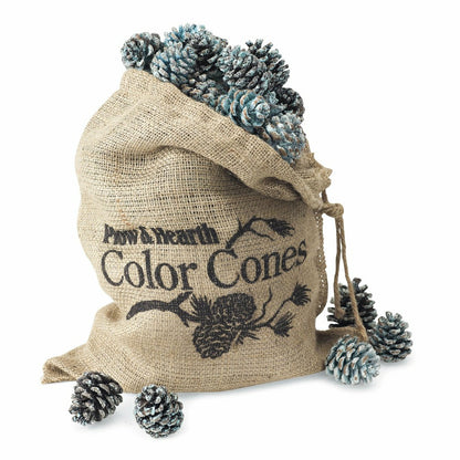 Fireplace Color Cone Refill | Plow & Hearth