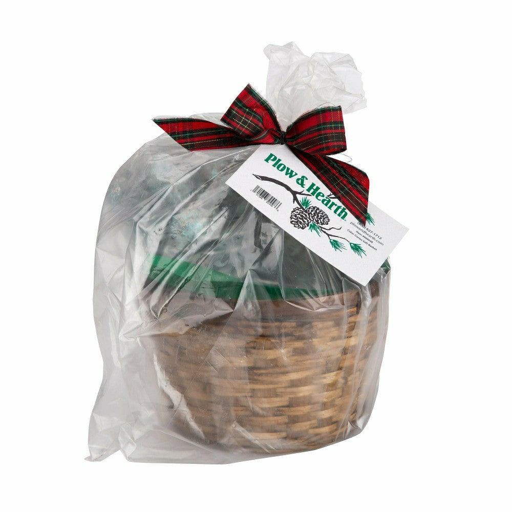 Color-Changing Fireplace Color Cones, 1 lb. in Gift Basket | Plow & Hearth