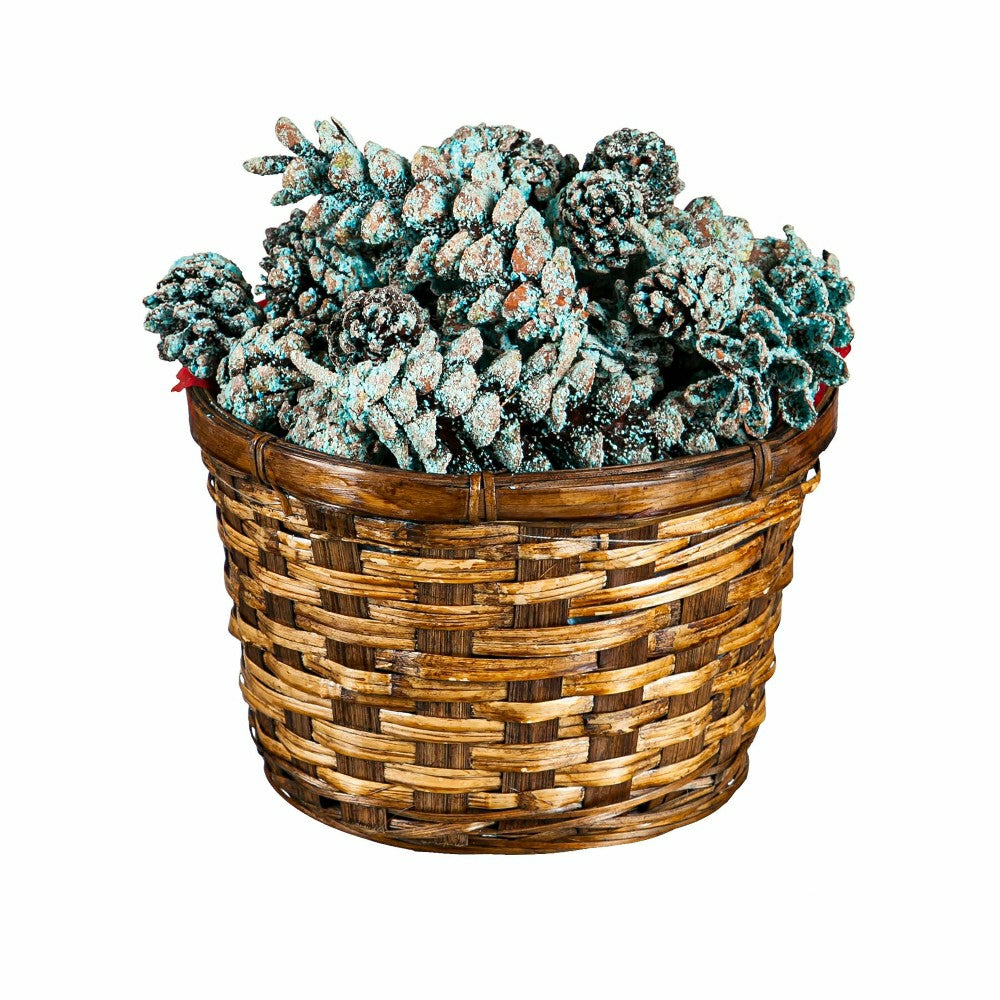 Color-Changing Fireplace Color Cones, 1 lb. in Gift Basket | Plow & Hearth