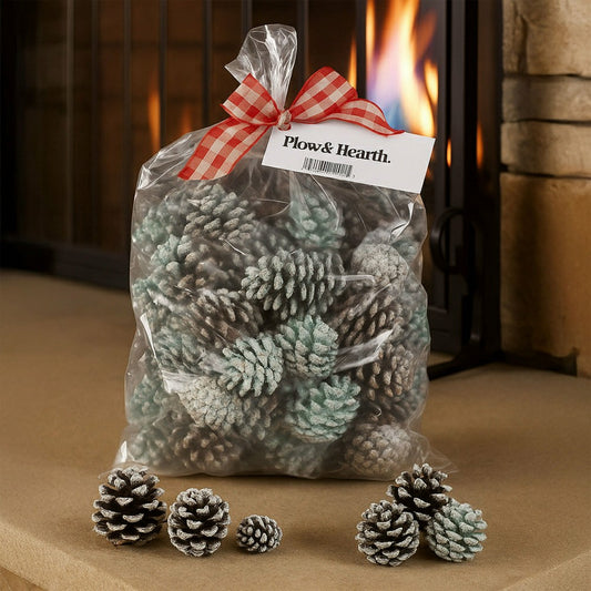 Color-Changing Fireplace Color Cones, 6 lb. Bag | Plow & Hearth