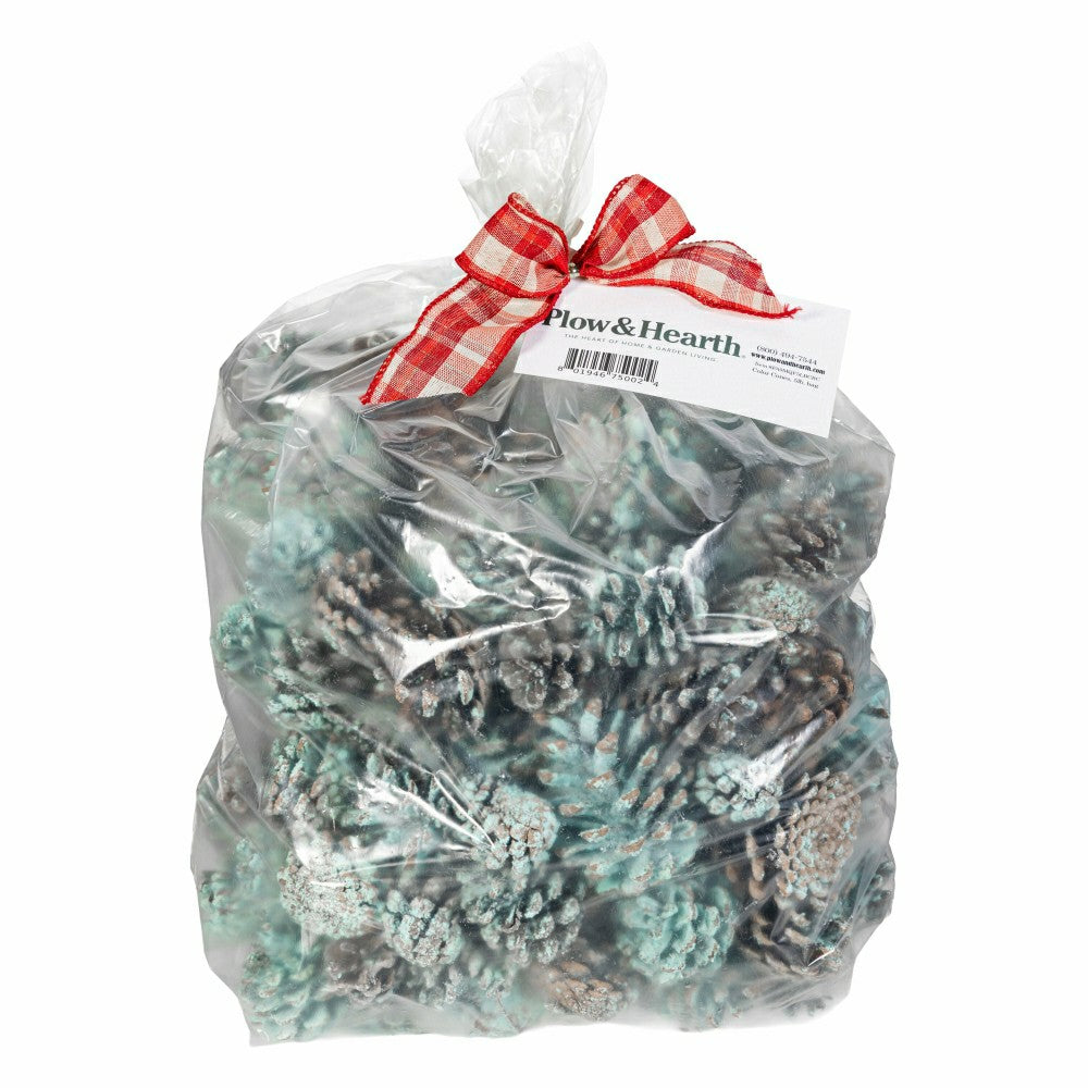 Color-Changing Fireplace Color Cones, 6 lb. Bag | Plow & Hearth