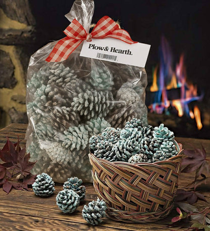Color-Changing Fireplace Color Cones, 6 lb. Bag | Plow & Hearth