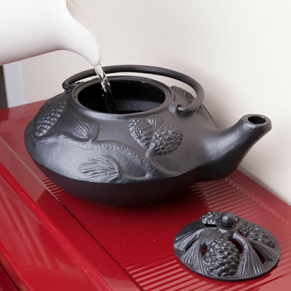 Iron Pine Cone Steamer | Plow & Hearth