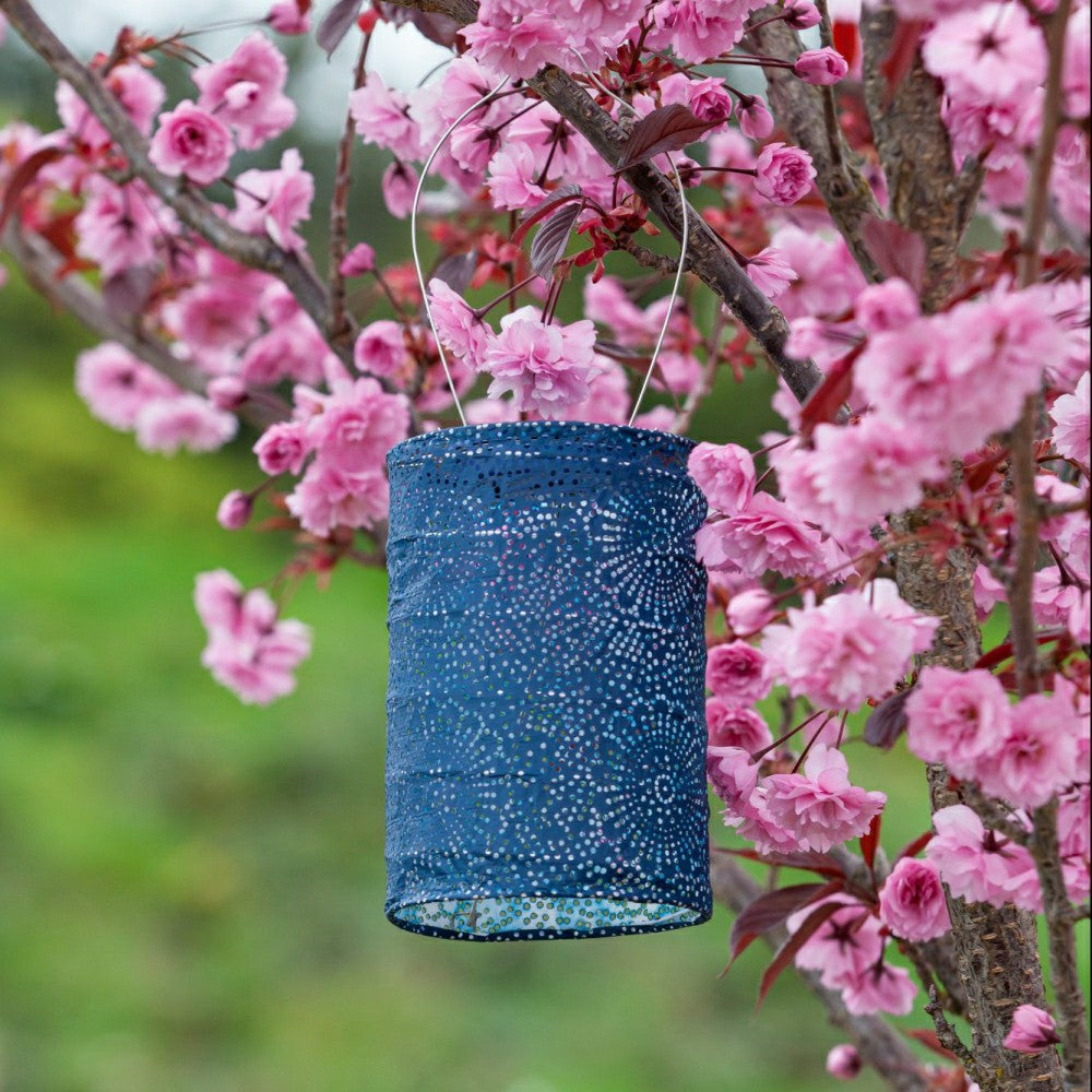 Soji Stella - Cylinder - 7.5" Solar Lantern | Plow & Hearth