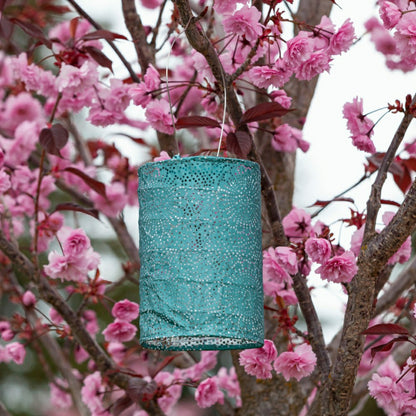 Soji Stella - Cylinder - 7.5" Solar Lantern | Plow & Hearth