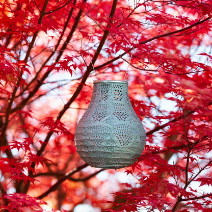 Soji Stella - Bulb - 8" Solar Lantern | Plow & Hearth