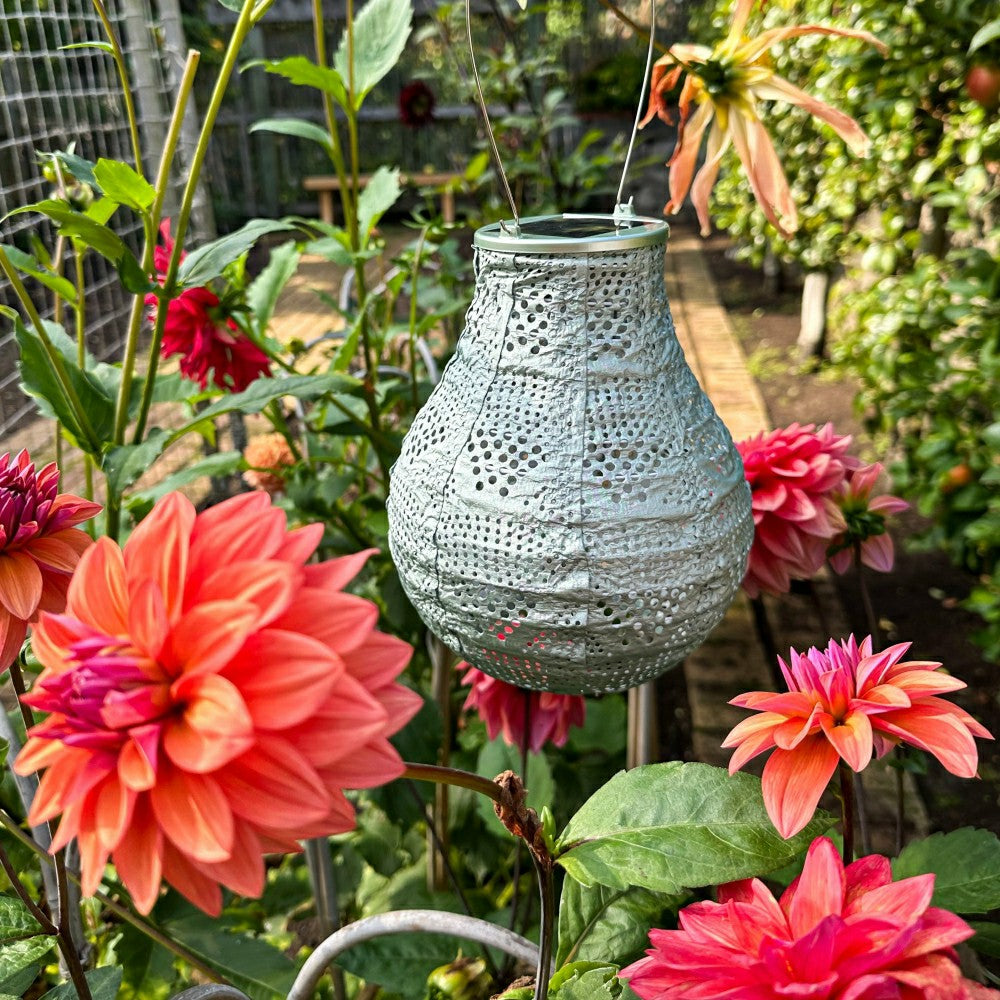 Soji Stella - Bulb - 8" Solar Lantern | Plow & Hearth