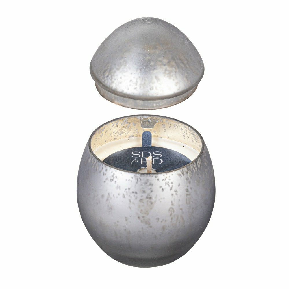 Egg Shape Mercury Glass Candle, Ancient Water | Plow & Hearth