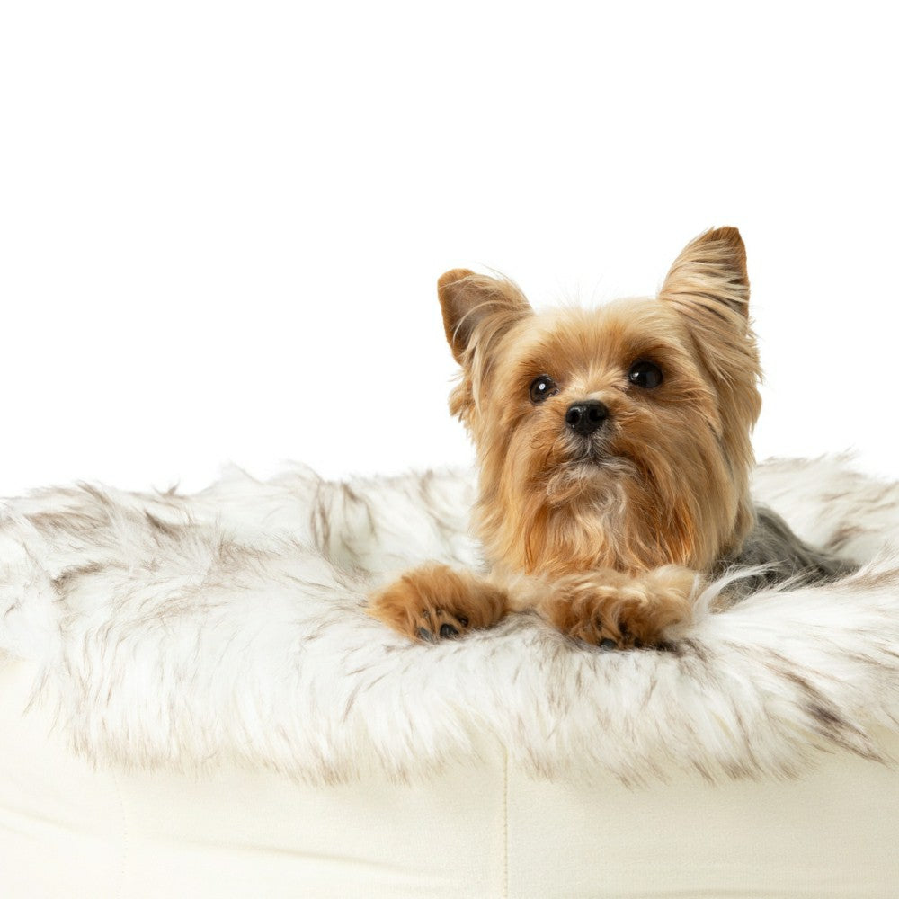 PupPouf™ Faux Fur Donut Dog Bed - White with Brown Accents | Plow & Hearth