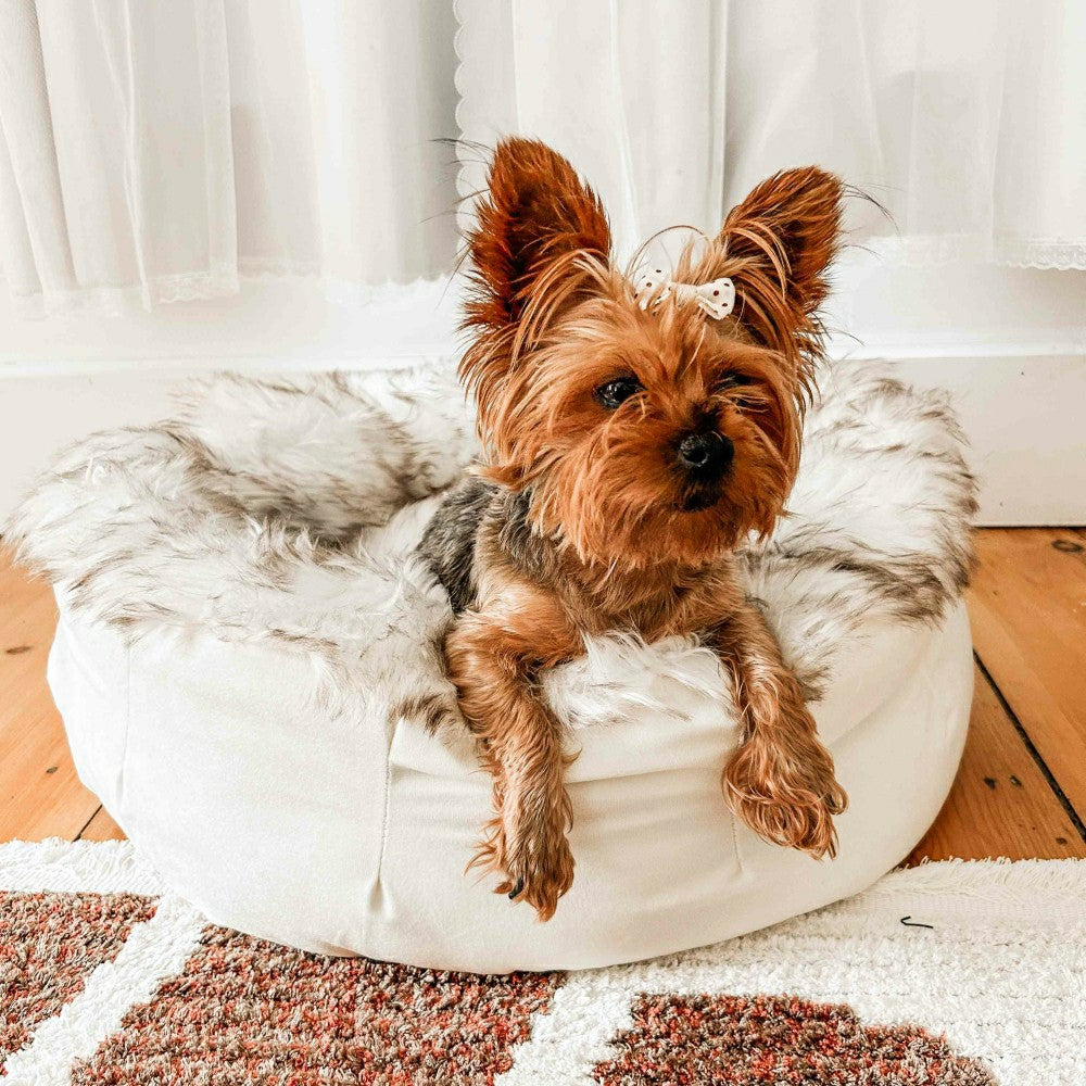 PupPouf™ Faux Fur Donut Dog Bed - White with Brown Accents | Plow & Hearth