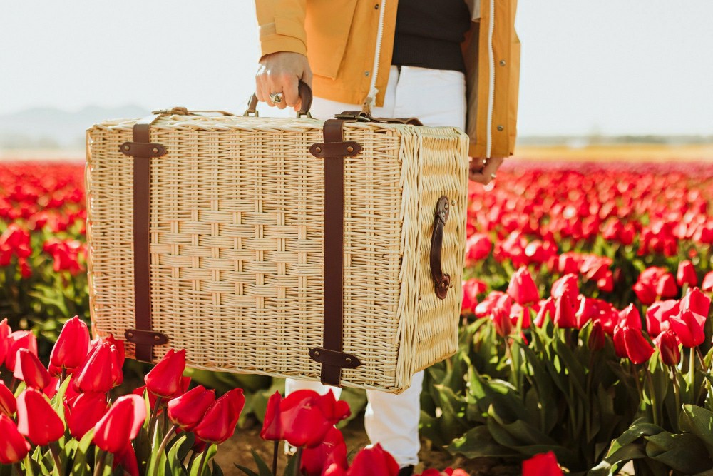 Charleston Picnic Basket | Plow & Hearth