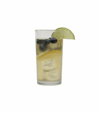 Blueberry Green Fresh Brew Iced Tea | Plow & Hearth