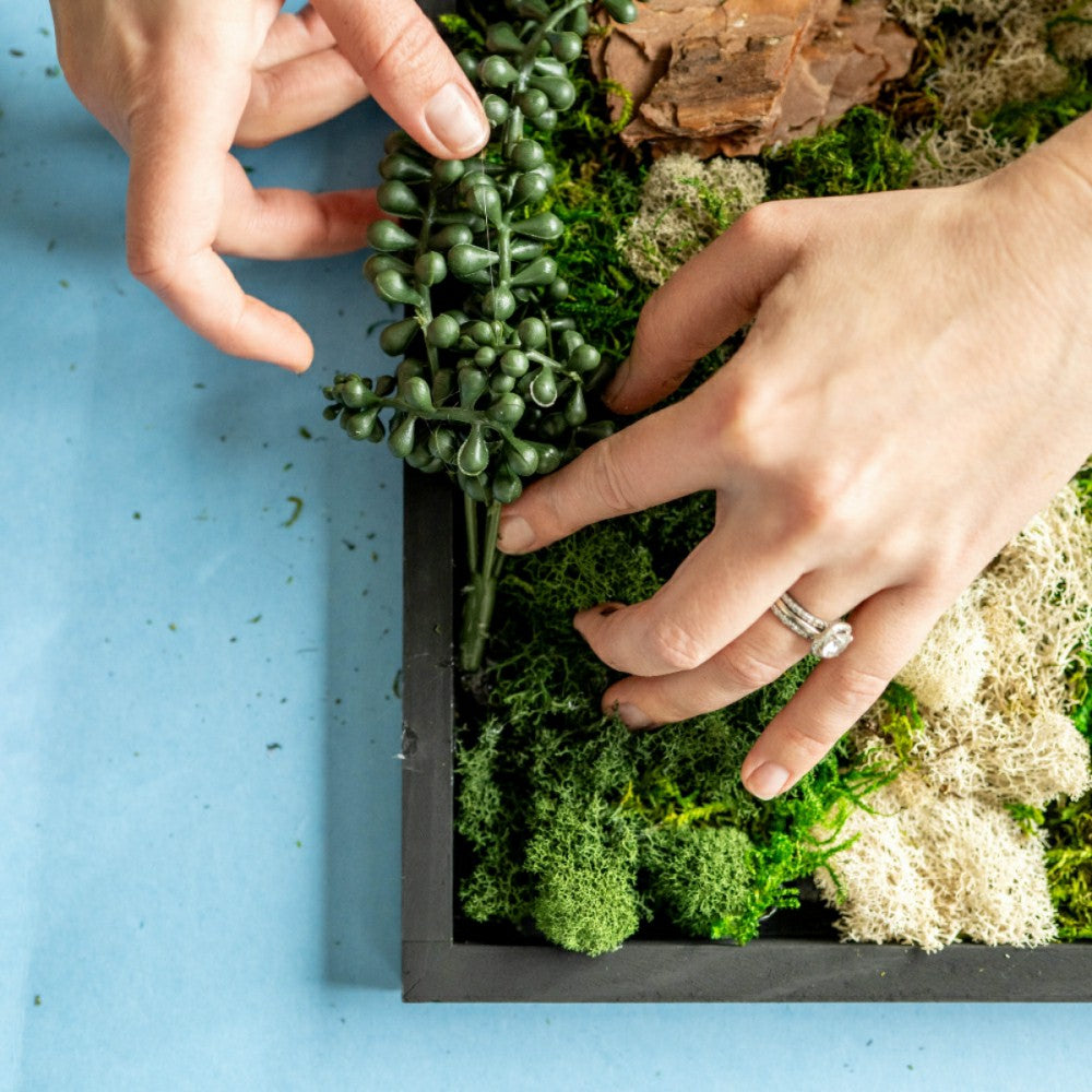Moss Wall Kit | Plow & Hearth