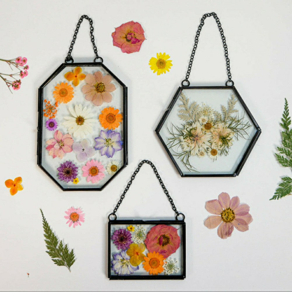 Framed Pressed Flowers Kit | Plow & Hearth