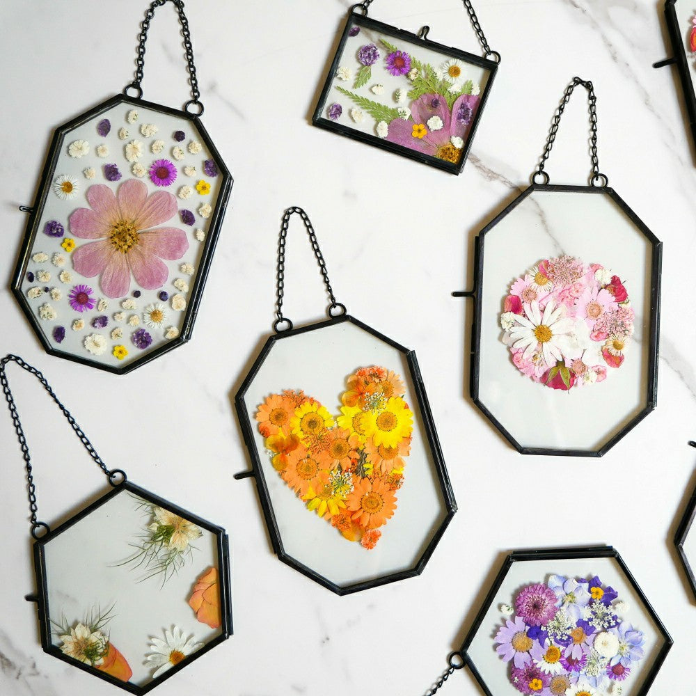 Framed Pressed Flowers Kit | Plow & Hearth