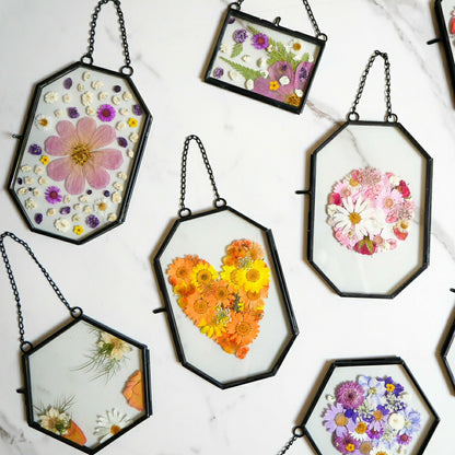 Framed Pressed Flowers Kit | Plow & Hearth