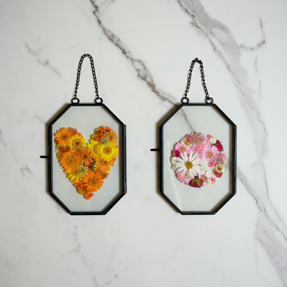 Framed Pressed Flowers Kit | Plow & Hearth
