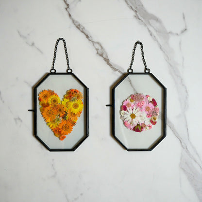 Framed Pressed Flowers Kit | Plow & Hearth