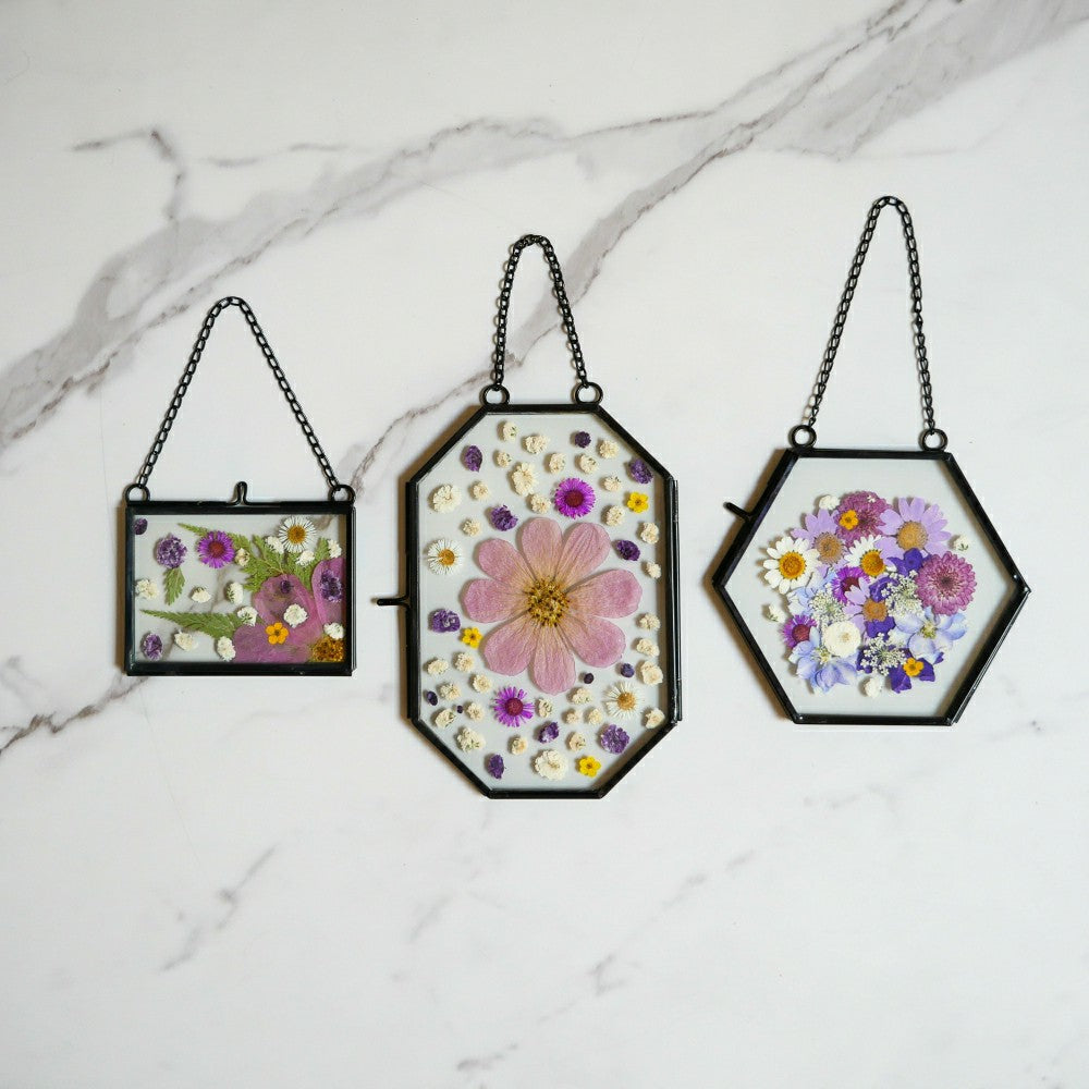 Framed Pressed Flowers Kit | Plow & Hearth