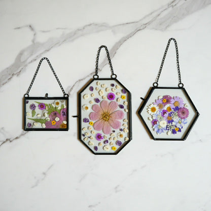 Framed Pressed Flowers Kit | Plow & Hearth