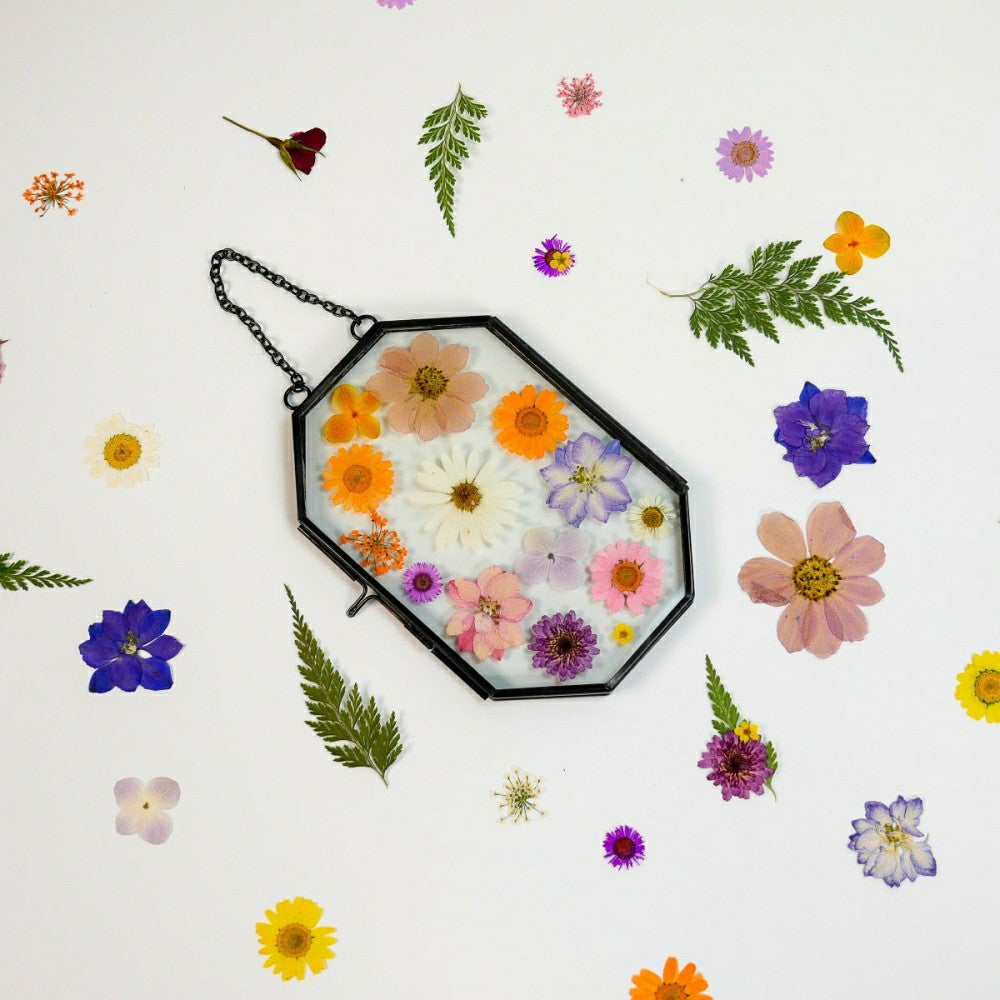 Framed Pressed Flowers Kit | Plow & Hearth