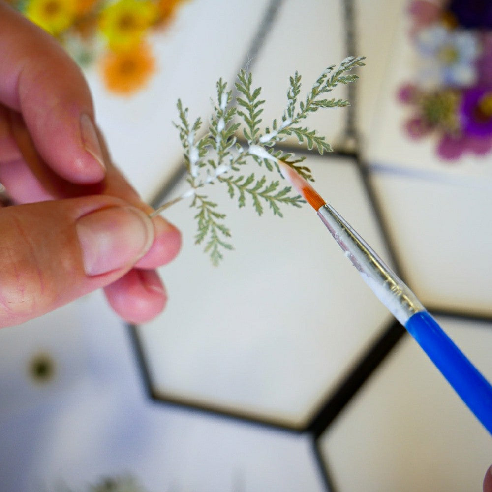 Framed Pressed Flowers Kit | Plow & Hearth
