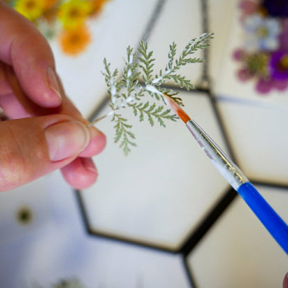Framed Pressed Flowers Kit | Plow & Hearth