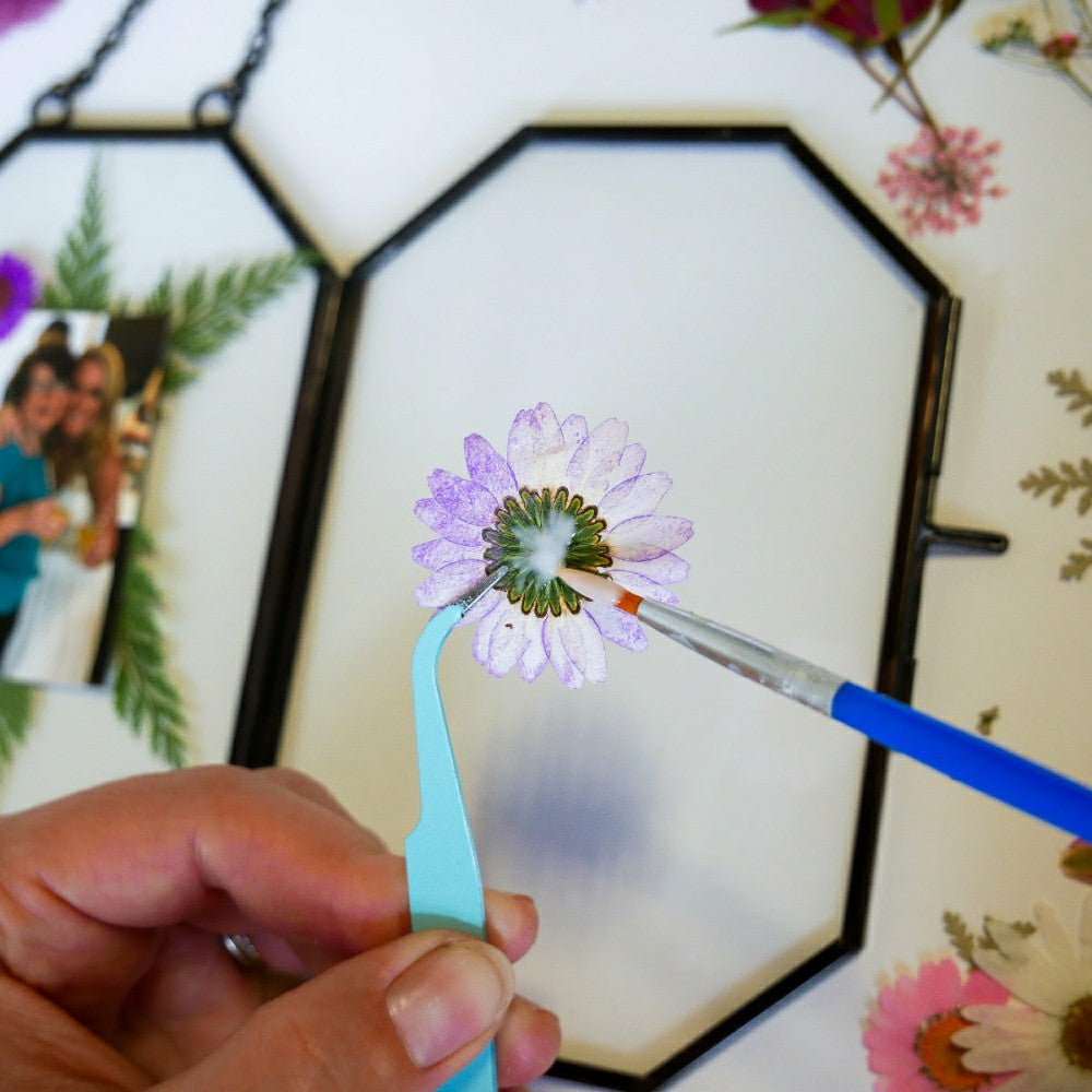 Framed Pressed Flowers Kit | Plow & Hearth