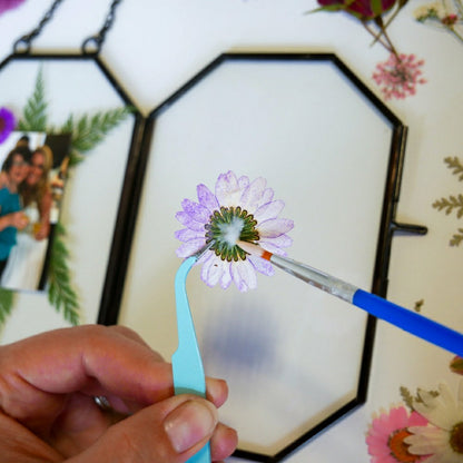 Framed Pressed Flowers Kit | Plow & Hearth