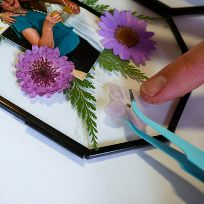 Framed Pressed Flowers Kit | Plow & Hearth