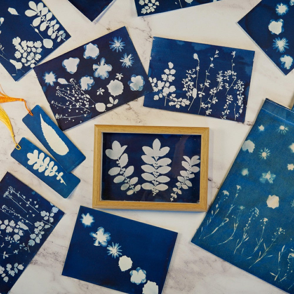 Cyanotype Kit | Plow & Hearth