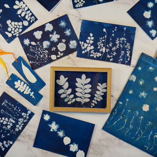 Cyanotype Kit | Plow & Hearth