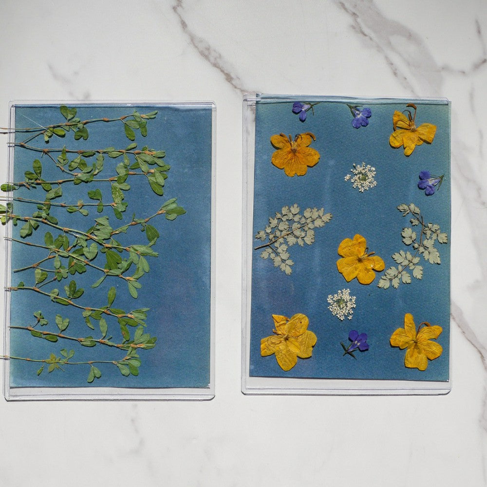 Cyanotype Kit | Plow & Hearth