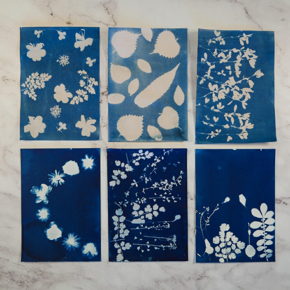 Cyanotype Kit | Plow & Hearth