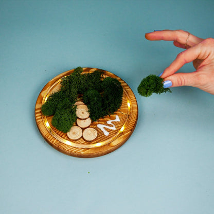 LED Fairy Garden Kit | Plow & Hearth