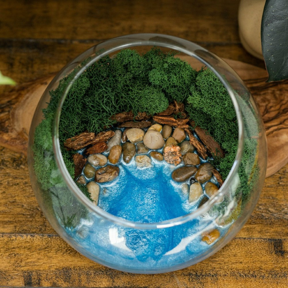 Resin Terrarium Kit | Plow & Hearth