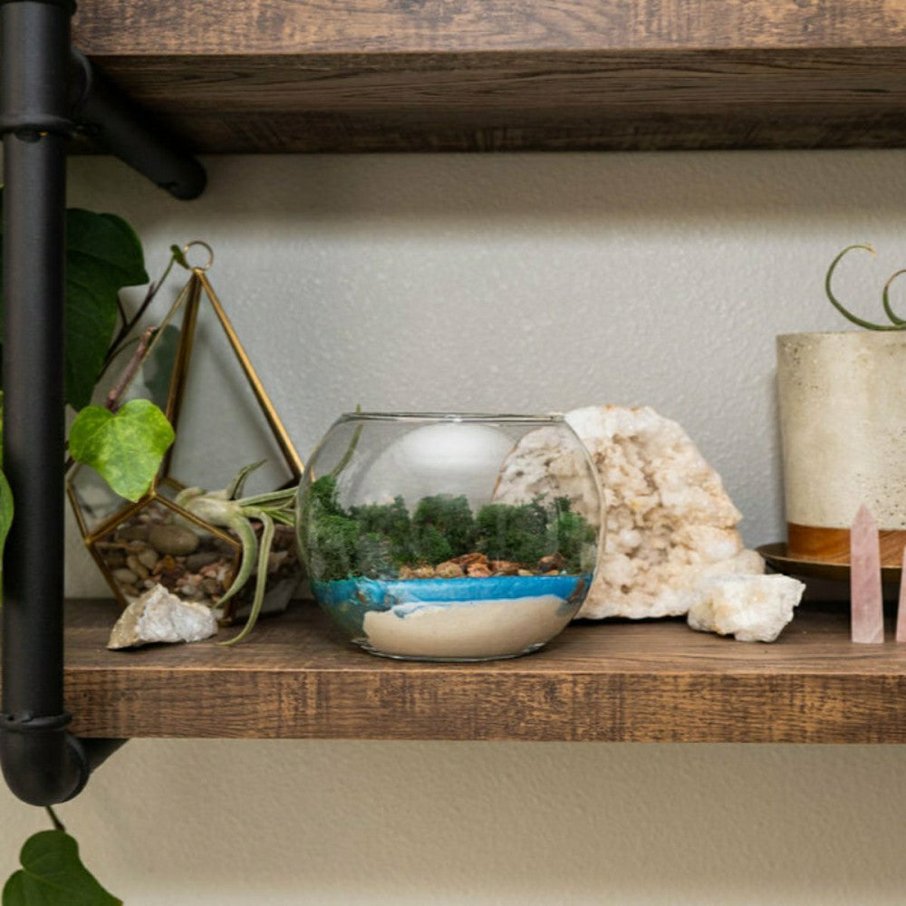 Resin Terrarium Kit | Plow & Hearth