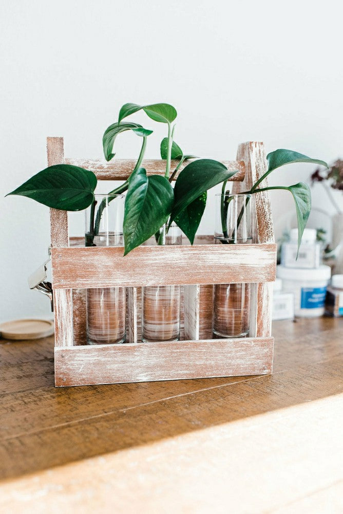 Weathered Wood Caddy Kit | Plow & Hearth