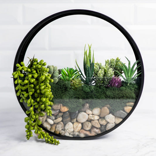 Wall Terrarium Kit | Plow & Hearth