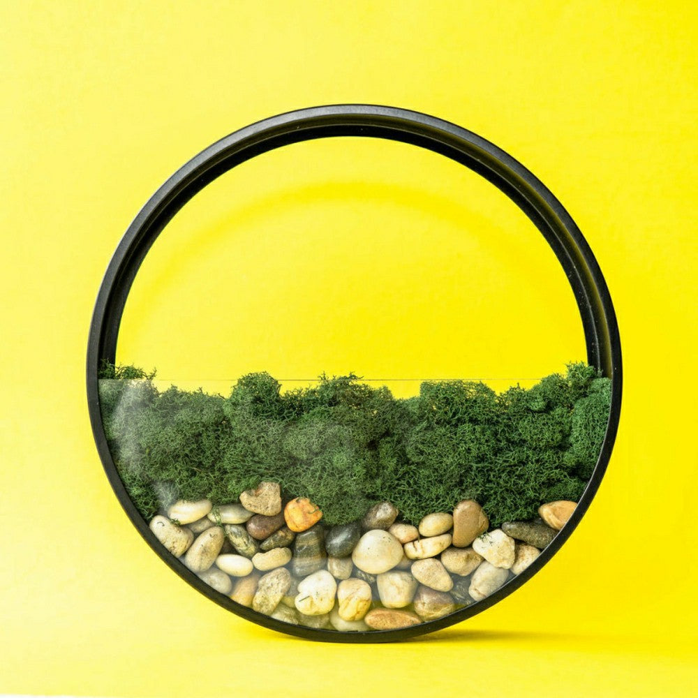 Wall Terrarium Kit | Plow & Hearth