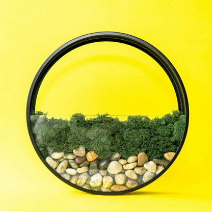 Wall Terrarium Kit | Plow & Hearth