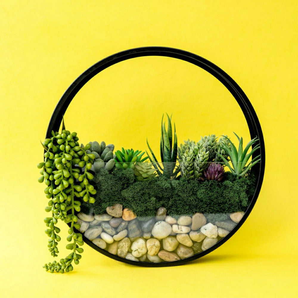 Wall Terrarium Kit | Plow & Hearth