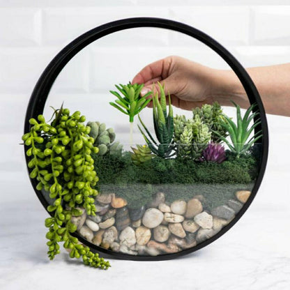 Wall Terrarium Kit | Plow & Hearth