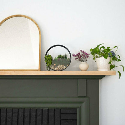 Wall Terrarium Kit | Plow & Hearth