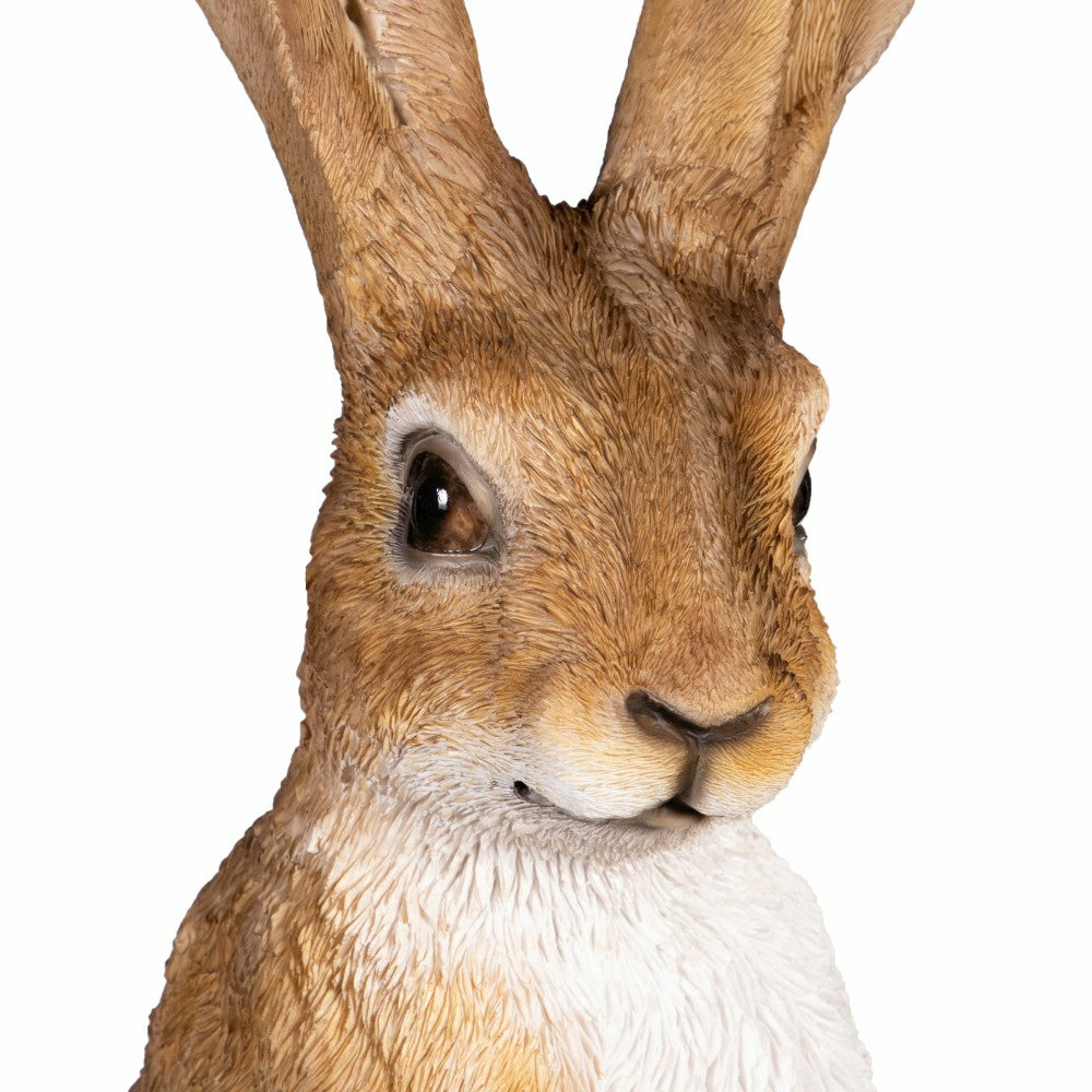 Hop Into Spring Garden Statue, Resin Hare Statue, 21"H | Plow & Hearth